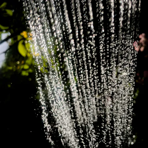 Pluie de douche sur fond sombre